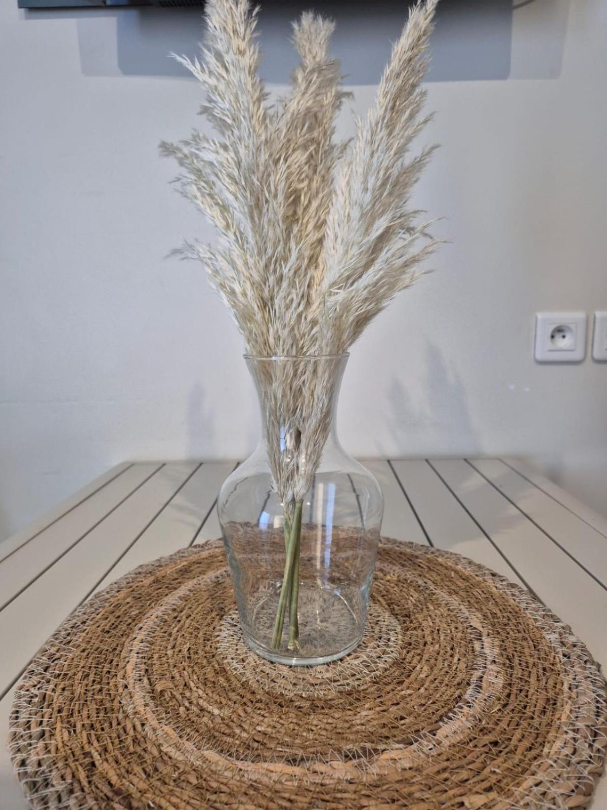 Appartement Vue Mer กิเดล ภายนอก รูปภาพ